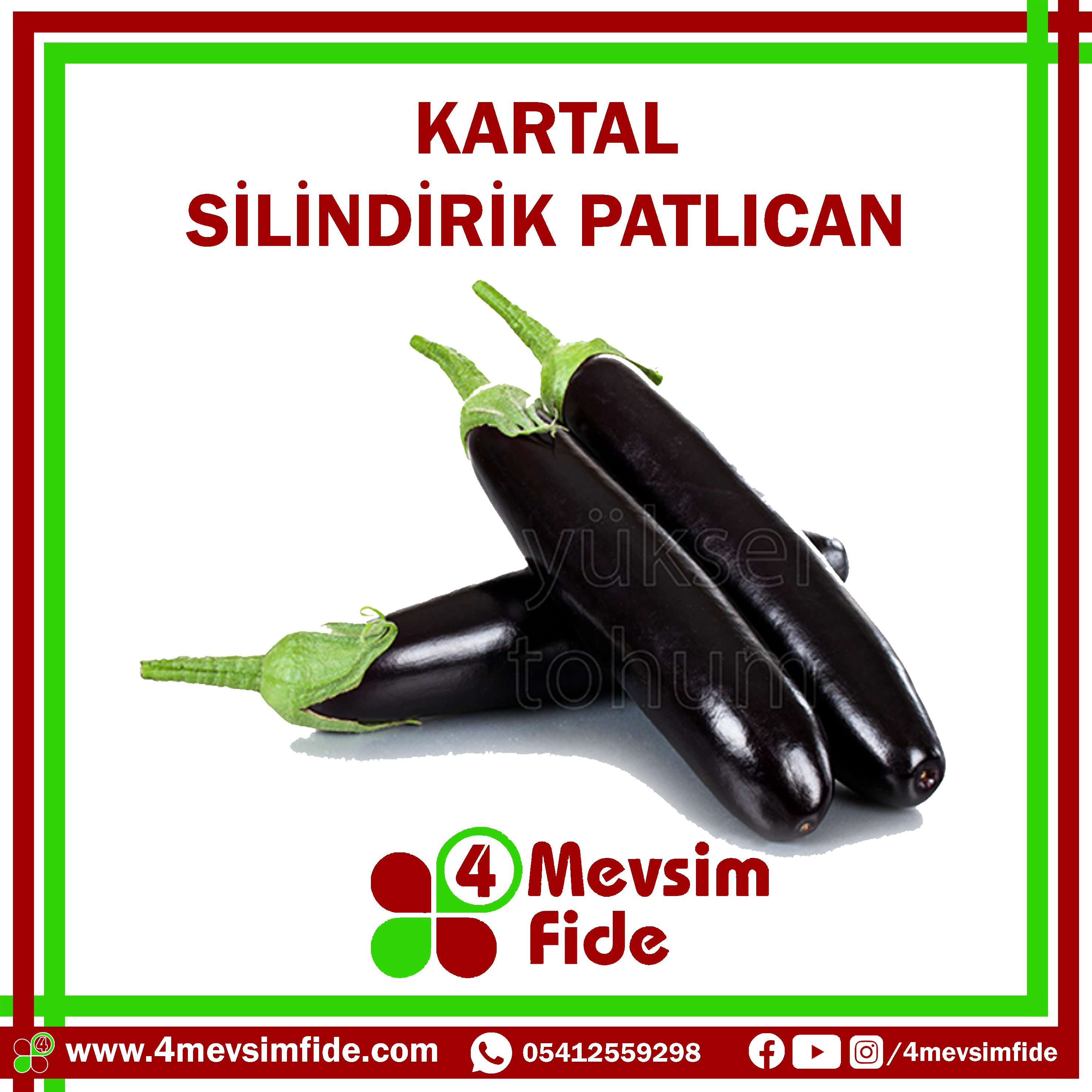 Kartal F1 Silindirik Patlıcan